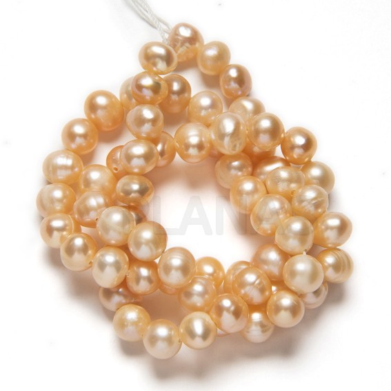 Tiras de Perlas Cultivadas de 5mm.Color Crema.