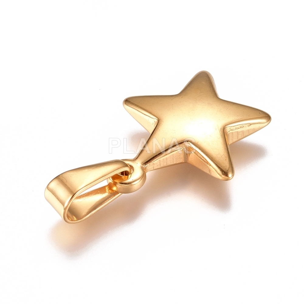 Pingente em aço inox e banhado a ouro. estrela.