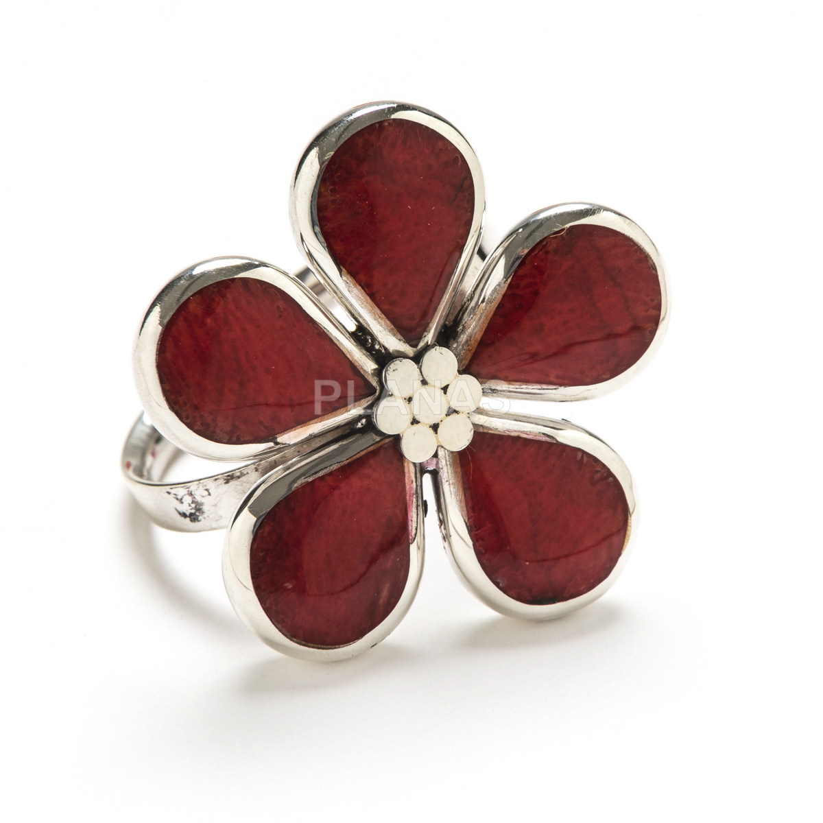 Anillo en Plata de ley Graduable.