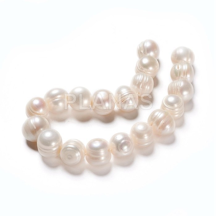 Strips of cultured pearls in 10mm.