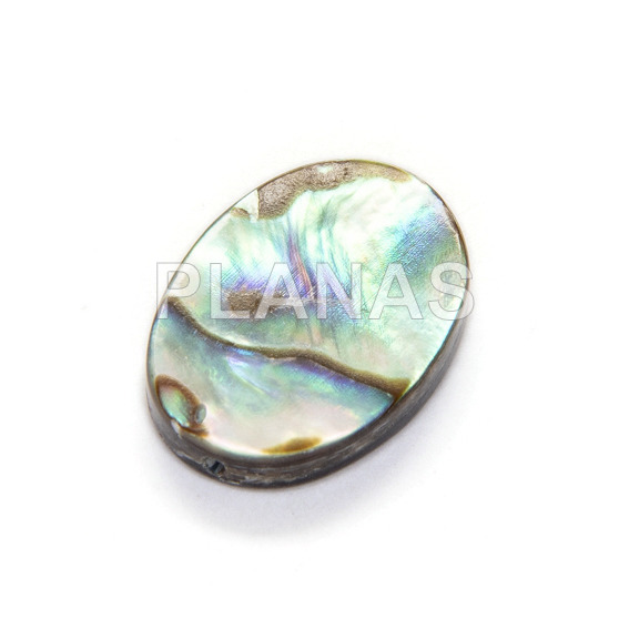 Flat oval cabochon in abalone.