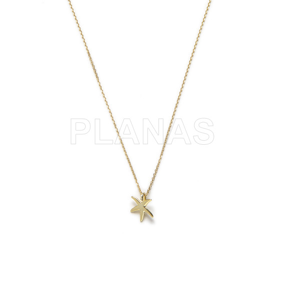 Necklace in sterling silver and gold plated. star of the sea.