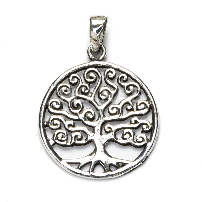 Jogo de prata brincos e pingente