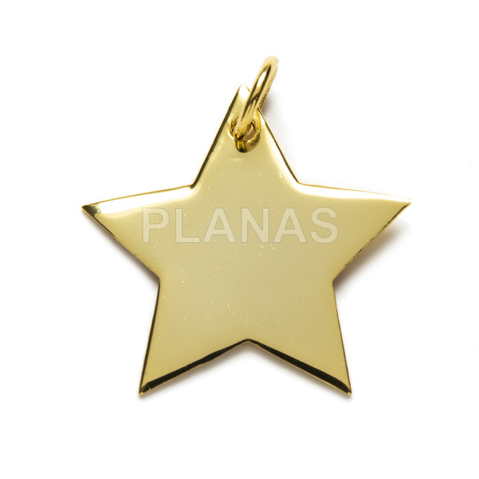 Sterling silver and gold plated pendant. star.