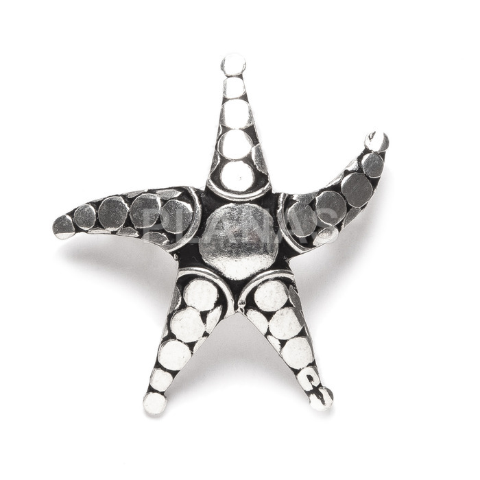 Broche en Plata de Ley.ESTRELLA DE MAR.