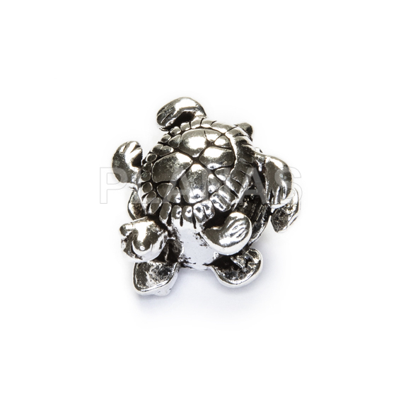 Charm in sterling silver. tortoise.