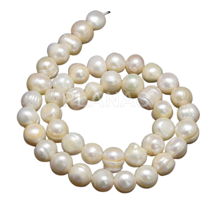 Strips of cultured pearls in 8mm.